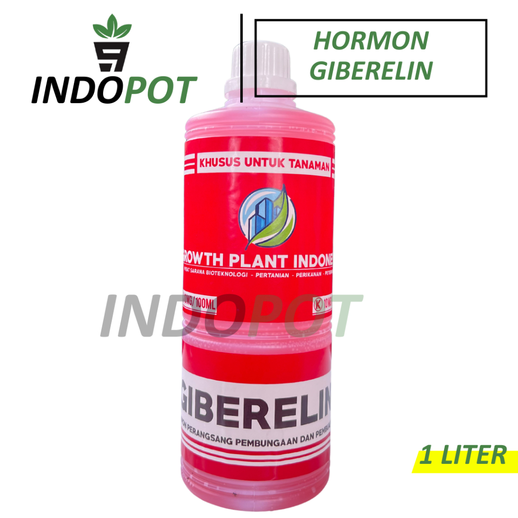 Hormon Tanaman Giberelin 1 Liter Pertumbuhan Tanaman Bunga Hias