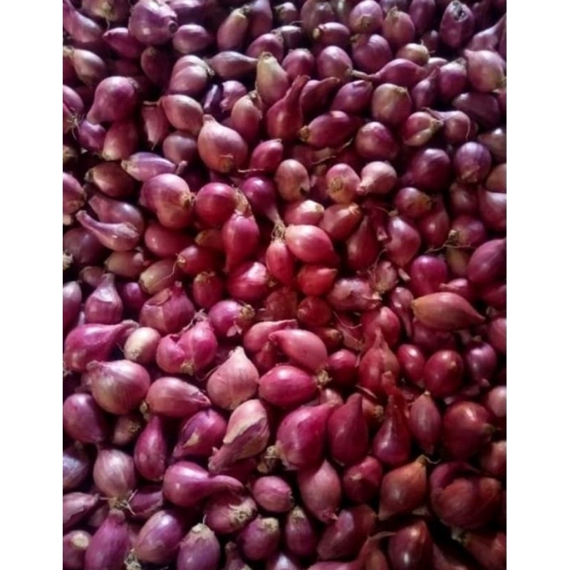 

Bawang Merah Kering Kecil