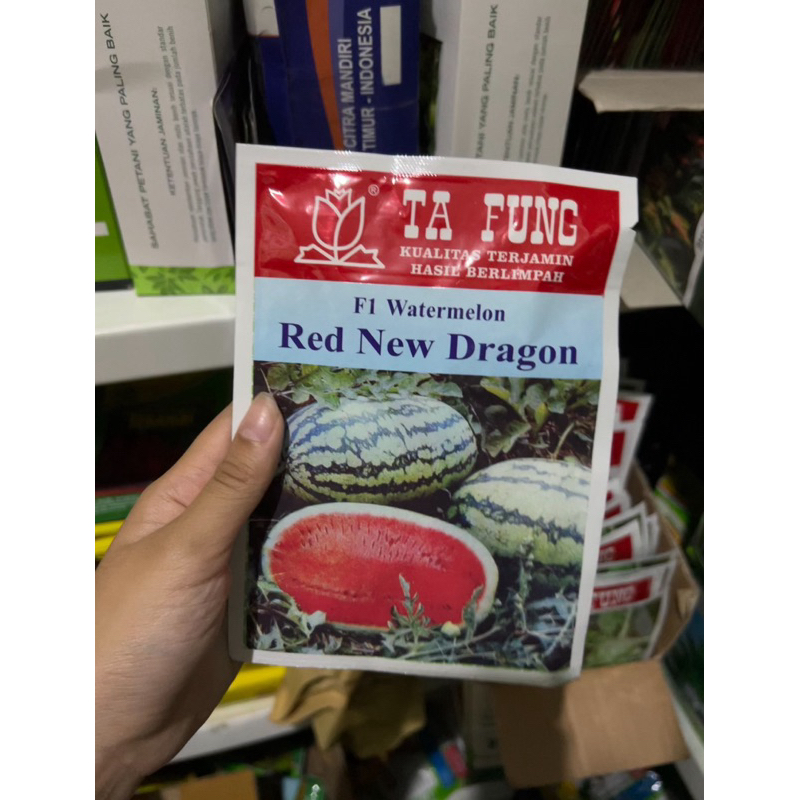 Benih semangka RED NEW DRAGON F1 20 gram benih semangka lonjong semangka hibrida dari tafung ta fung
