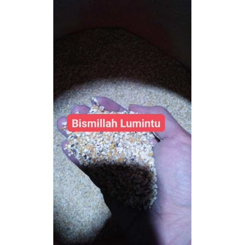 Menir Jagung