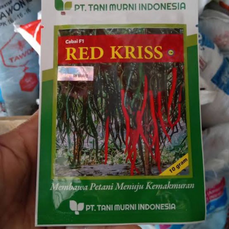 Benih cabe keriting Red kriss F1 10 gram