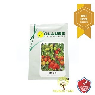 Benih Tomat CLAUSE F1