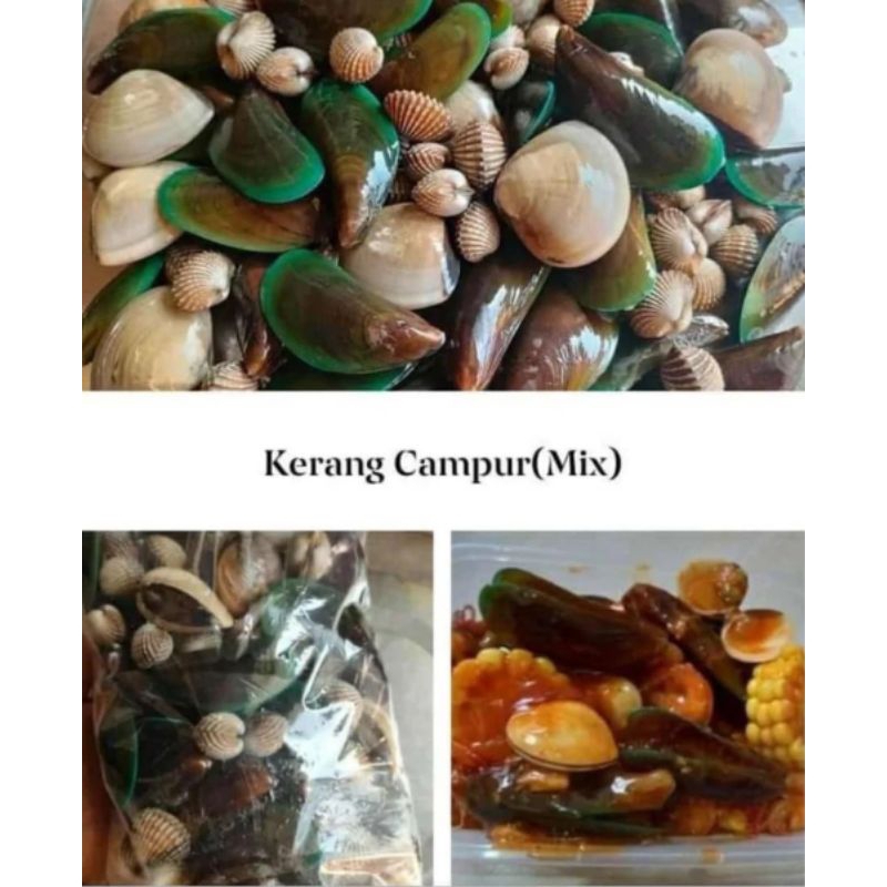 

KERANG SEGAR MIX - 1 KG