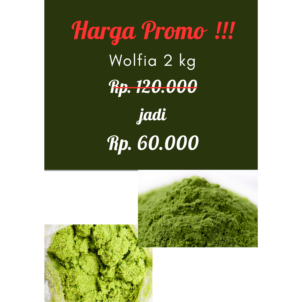 WOLFFIA 2KG pakan unggas dan ikan alternatif tinggi protein