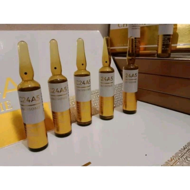 SLC24A5 GOLD ORIGINAL CHROMOSOME