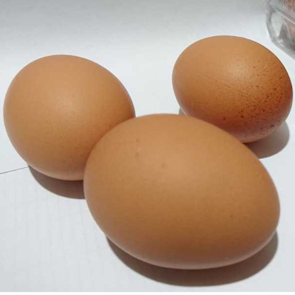 

Telur Ayam Negeri Fresh 1kg