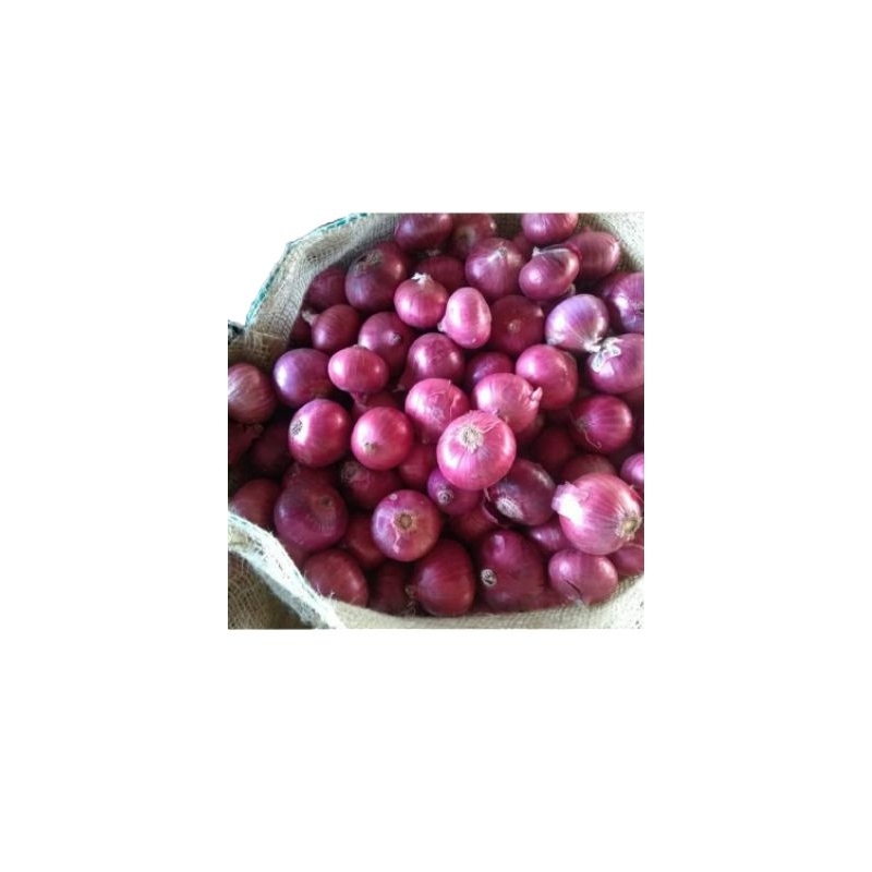 

bawang merah asli brebes premium