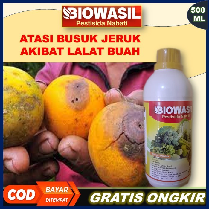 Murah BIOWASIL Pestisida Nabati 500 Ml Paling Ampuh Pupuk Pengendali Hama Lalat Buah Pada Jeruk – At