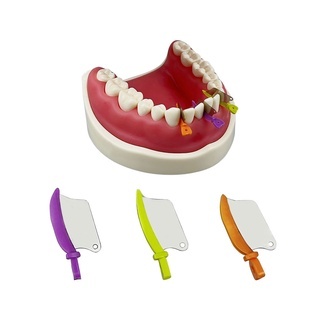Dental Wedge Guard with Metal Plastic Knife and Protection Matrix for Teeth Interproximal Area