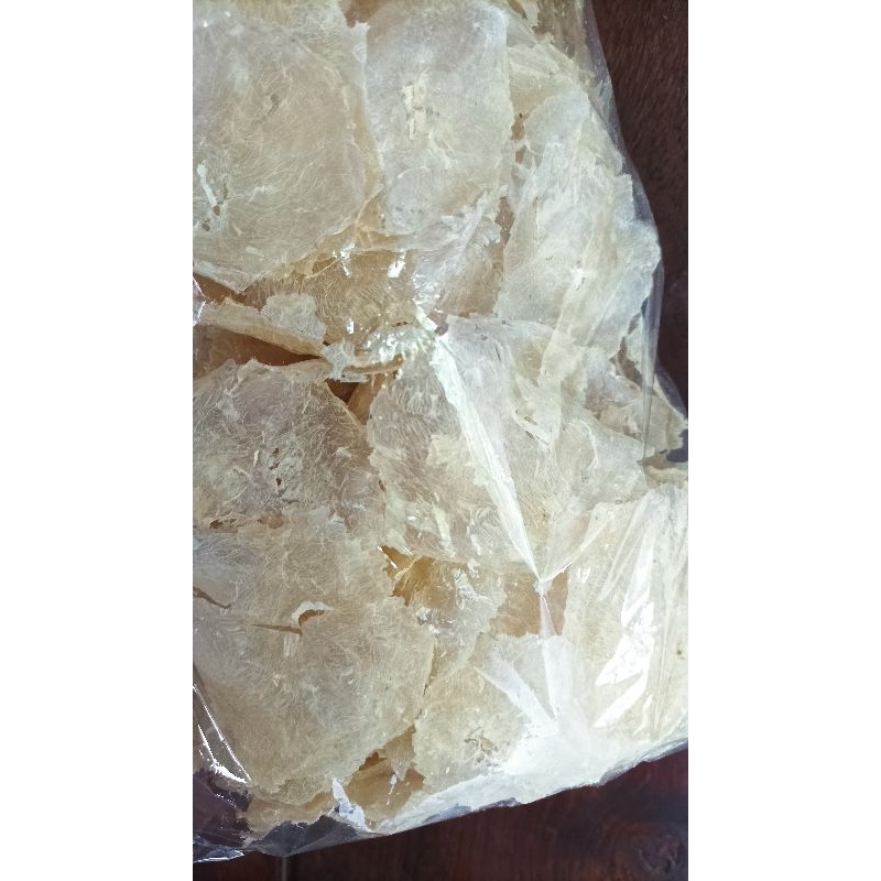 

Emping Garut Mentah 250 gram | Original | Tanpa Bahan Pengawet | Produk Asli Bantul Yogyakarta | Oleh-oleh Khas Jogja