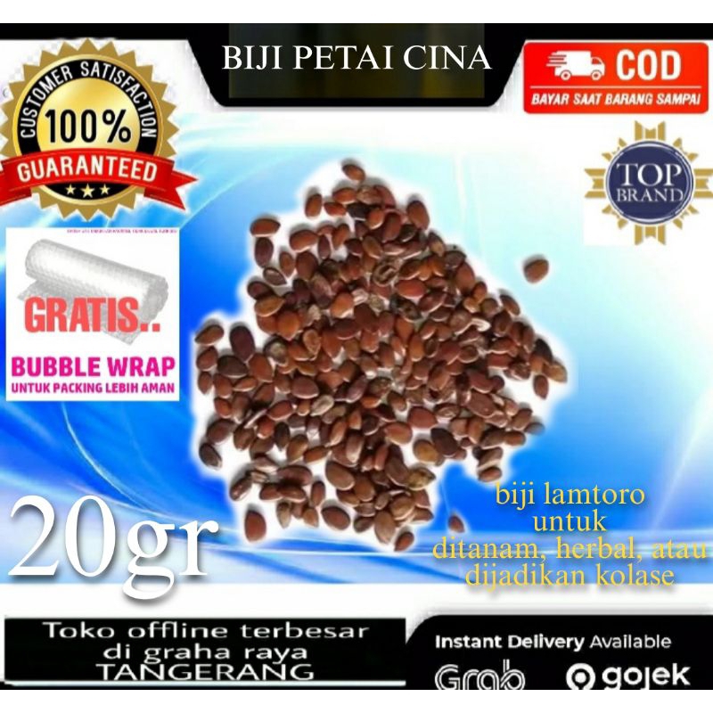 

Biji Petai Cina 20 gr Pete China Lamtoro Kolase