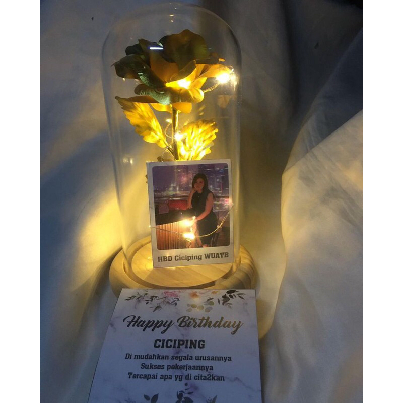 ETERNAL ROSE DOME (GLASS) + PHOTO