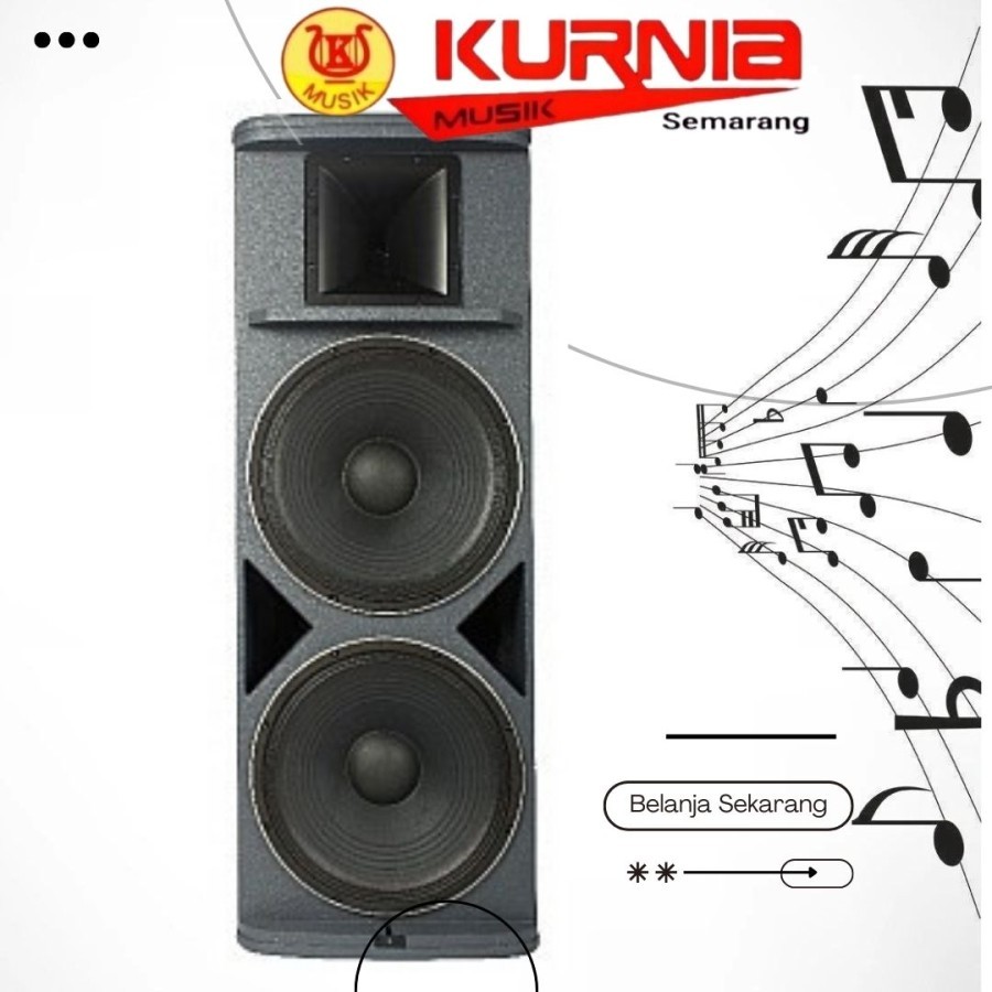 BLG BW30-215A - BW30 215A - BW 30 215A 15 Inch 2 Way Speaker Aktif