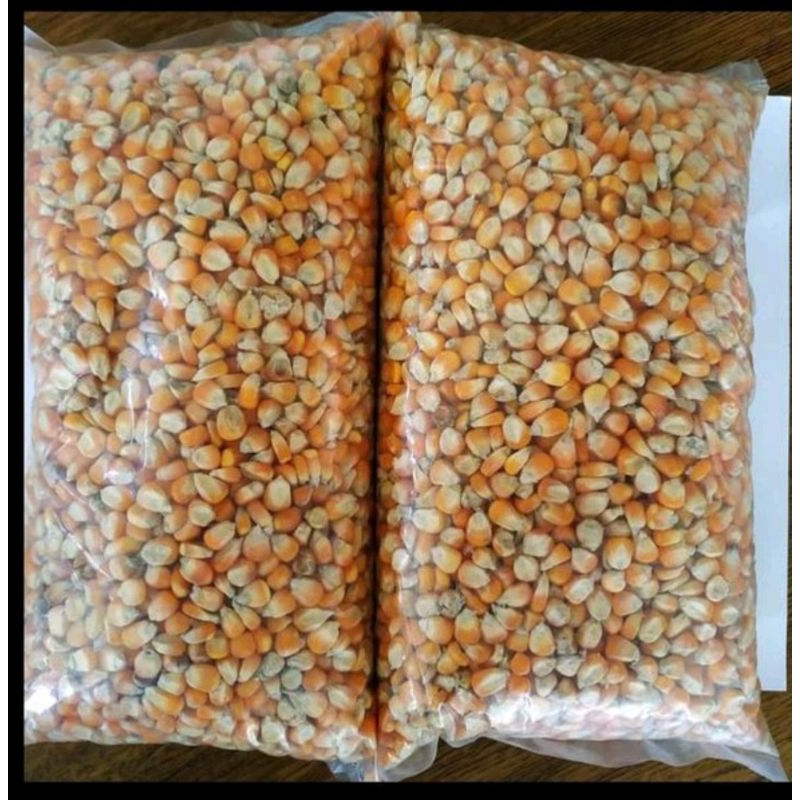 

Jagung Mentah Kering 1 kg Untuk Pakan Burung Merpati Ayam