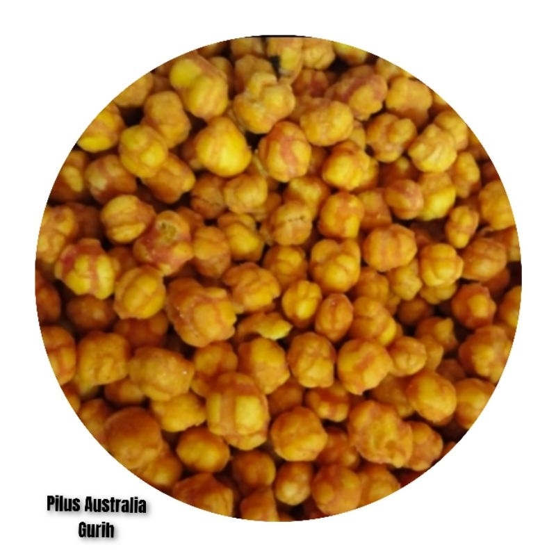 

Pilus Australi Renyah Garing Enak