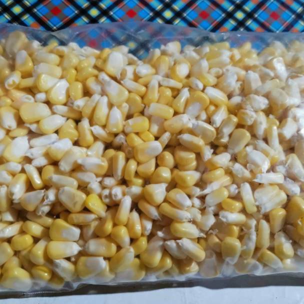 

JAGUNG MANIS PIPIL JASUKE