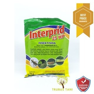 Insektisida Imidakloprid Interprid 100g