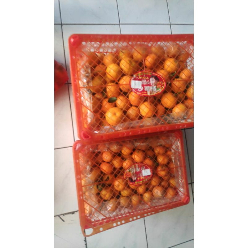 

jeruk santang daun tangerine 500 gram