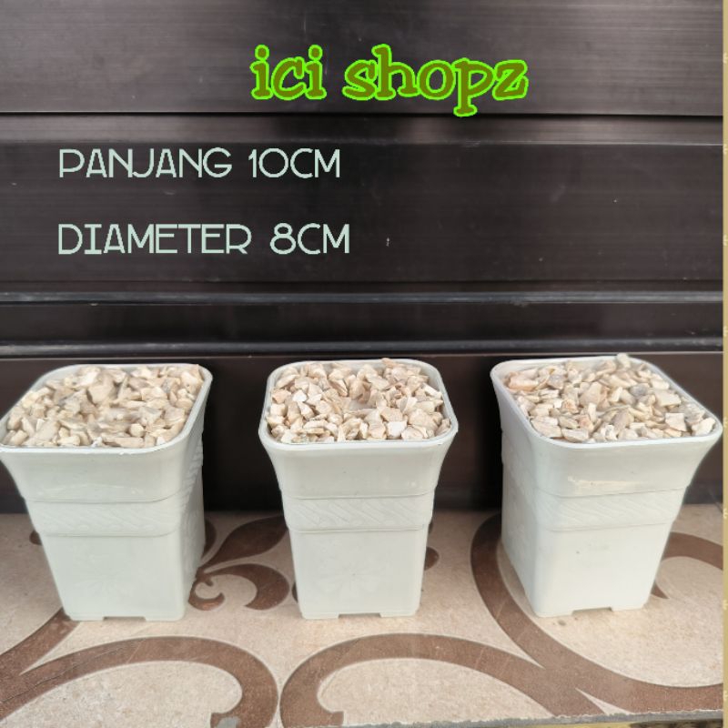 Pot Kotak 8cm Tinggi 10cm + Busa Dan Batu