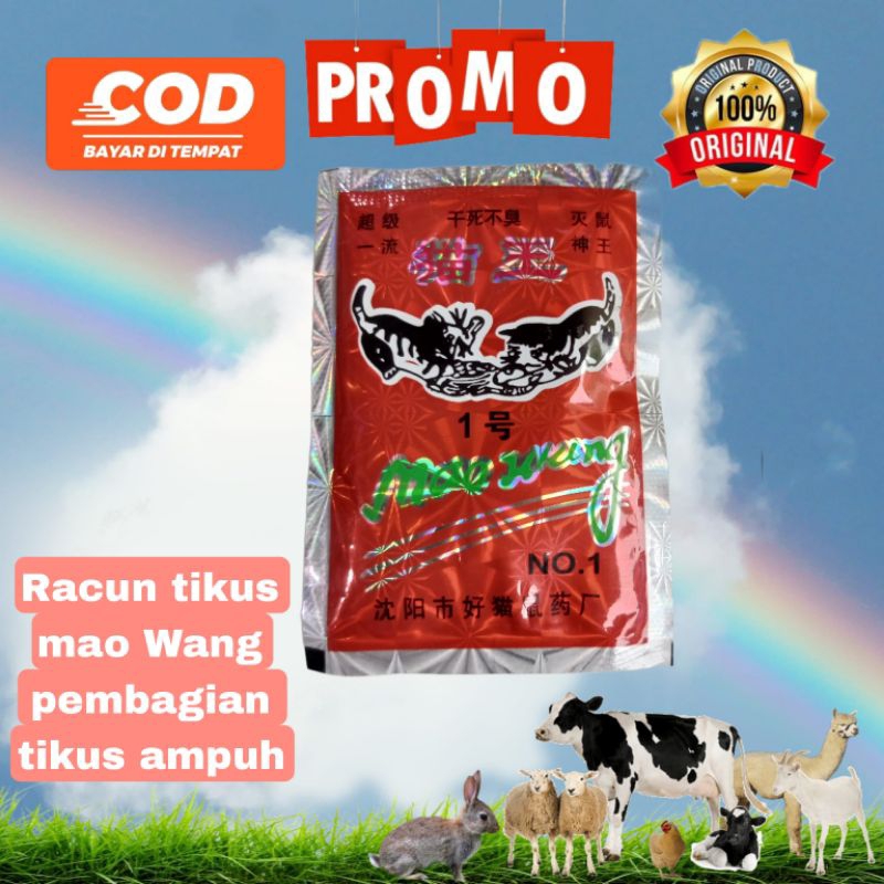 Racun tikus mao Wang pembagian tikus mao wang