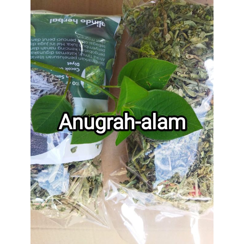 

Daun kate mas atau sena kering cacah 100gram
