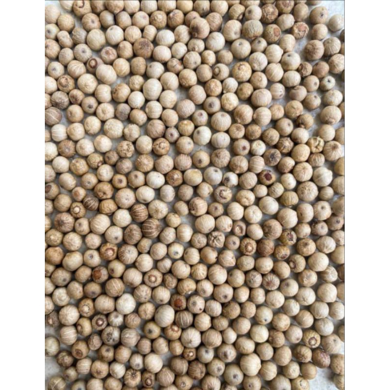

Merica /Lada /Sahang butir kalimantan 1kg