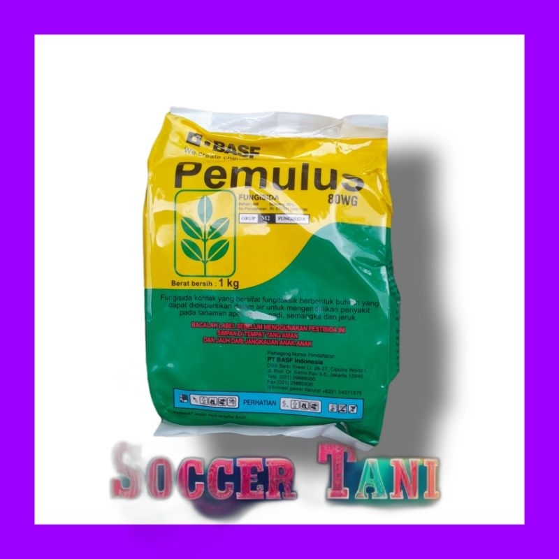 Fungisida pemulus 1kg - Basf