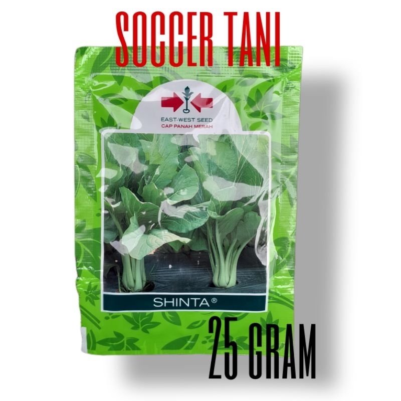 SHINTA 25 GR BENIH SAWI CAISIM
