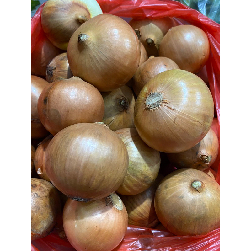 

Bawang bombay 500 g