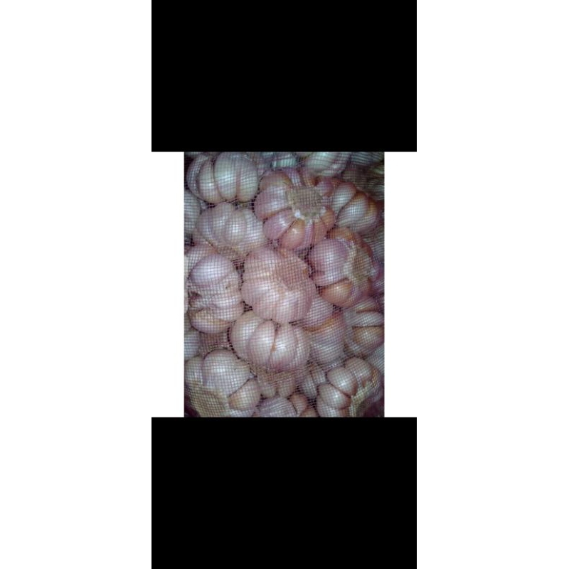 

bawang putih super