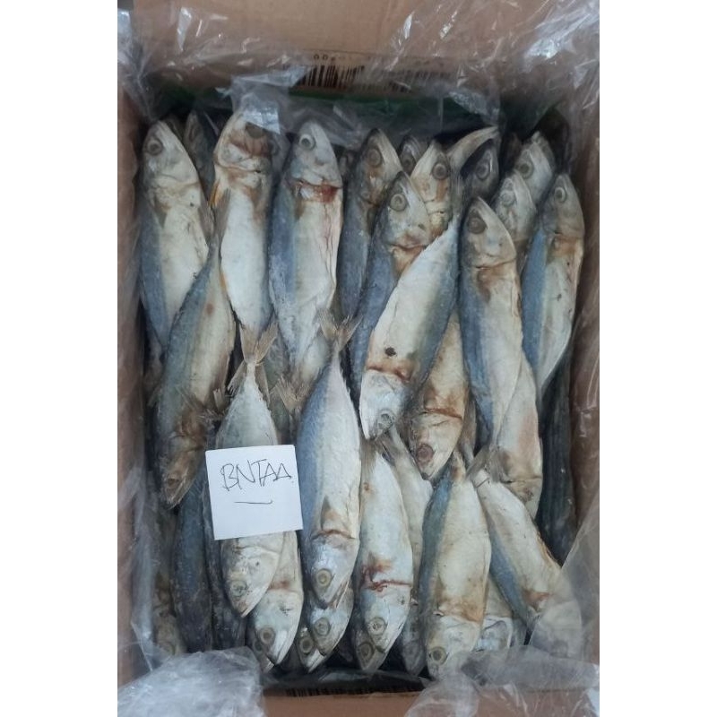 

Ikan Asin Peda Putih Banjar 500gr