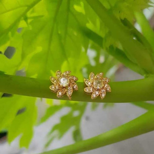 Anting Wanita Tindik Kerabu Titanium Anti Karat Lapis Emas Aksesoris Fashion Korea Anting Anti Luntu