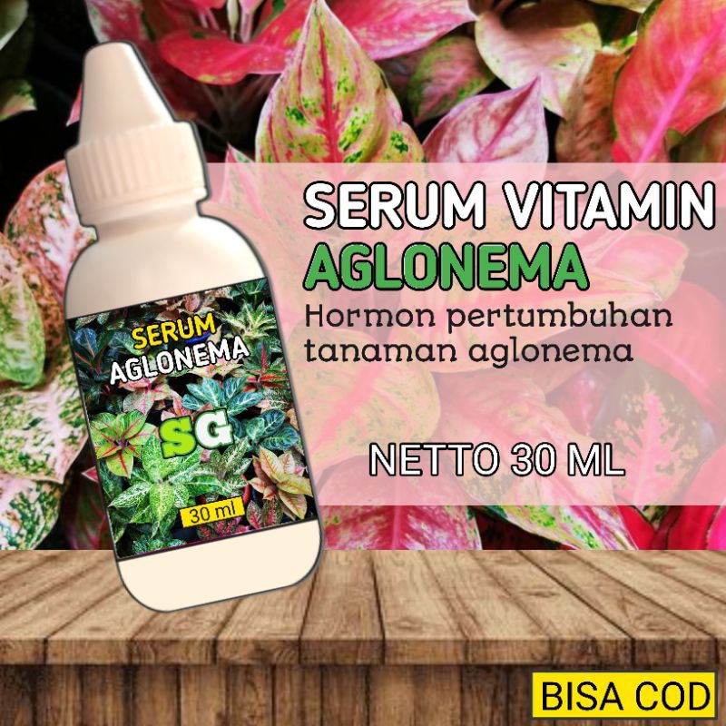 SERUM VITAMIN AGLONEMA hormon pertumbuhan tanaman aglonema kemasan 30 ml