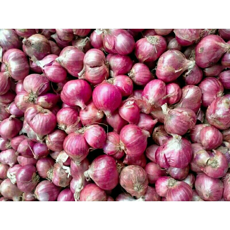

BAWANG MERAH SUPER MURAH