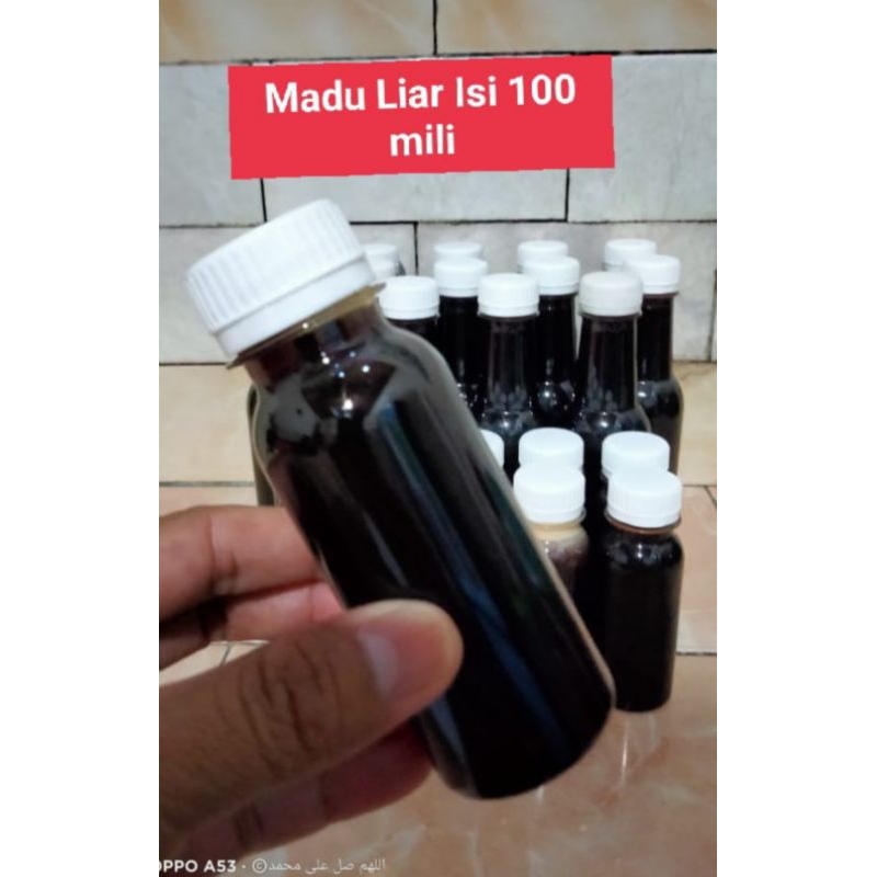 

madu lebah liar 100% murni alami