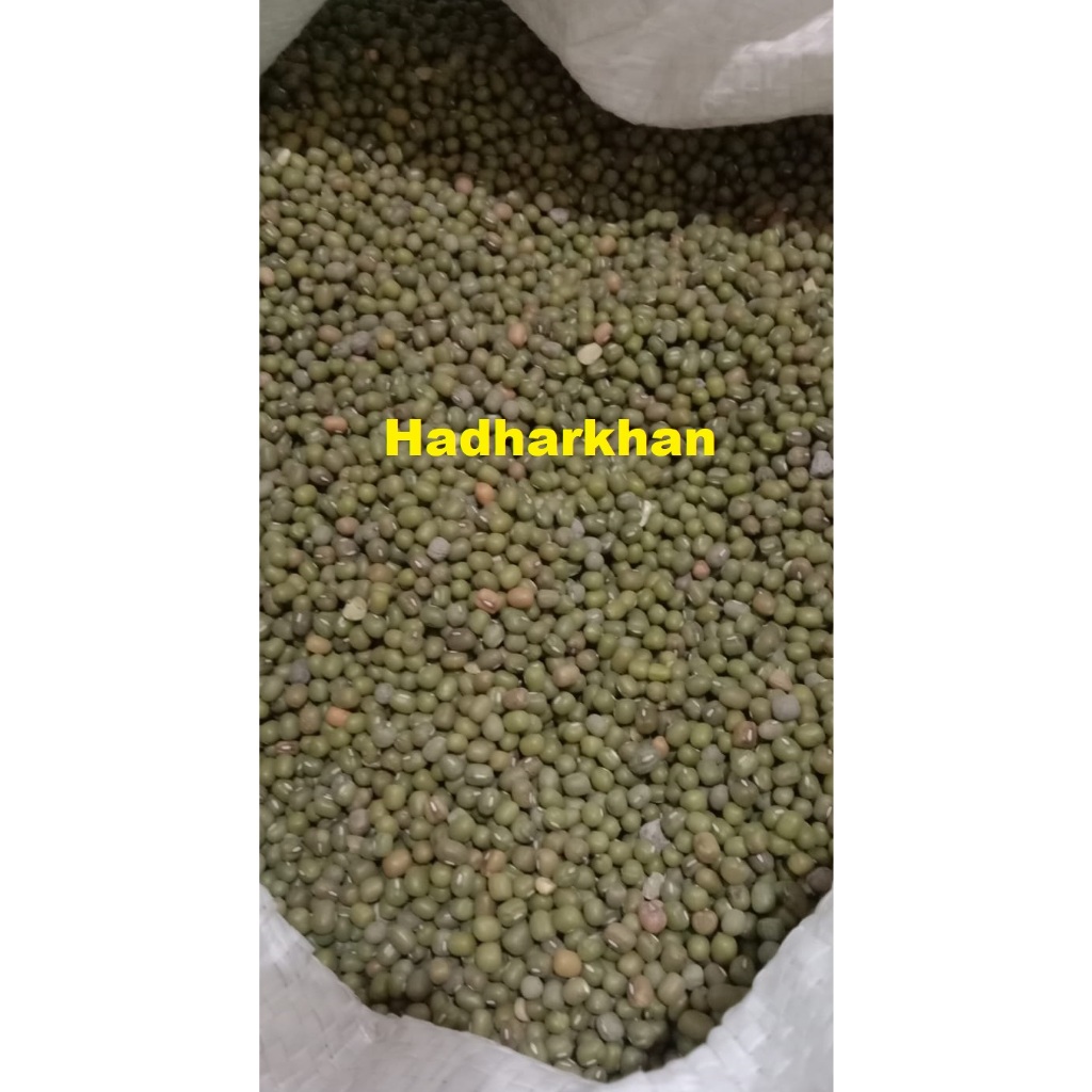 

Kacang Hijau 500 gr/Kacang Hijau Import Quality