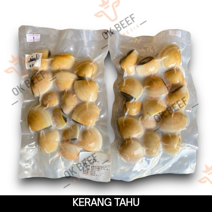 

Kerang Tahu Beku Frozen - KERANG TAHU