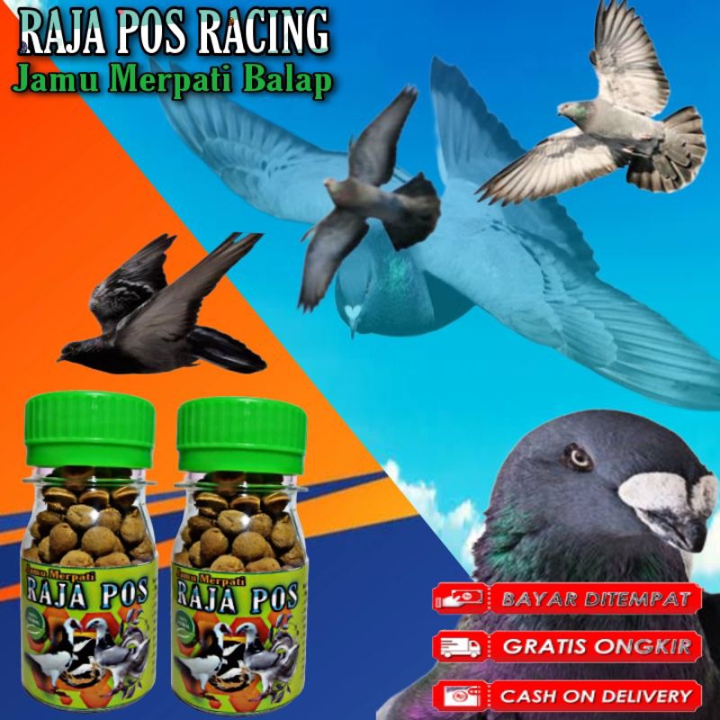 RAJA POS RACING JAMU MERPATI BALAP SPRINT isi 50 Pil Penambah tenaga dan cc power speed suplement me
