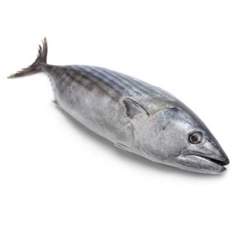 

SayurHD Ikan Tongkol 500 Gram