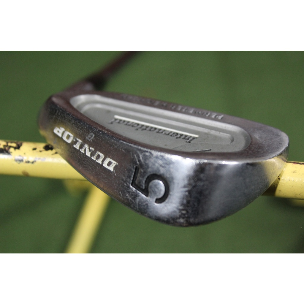 Stick Golf Iron 5 Dunlop International