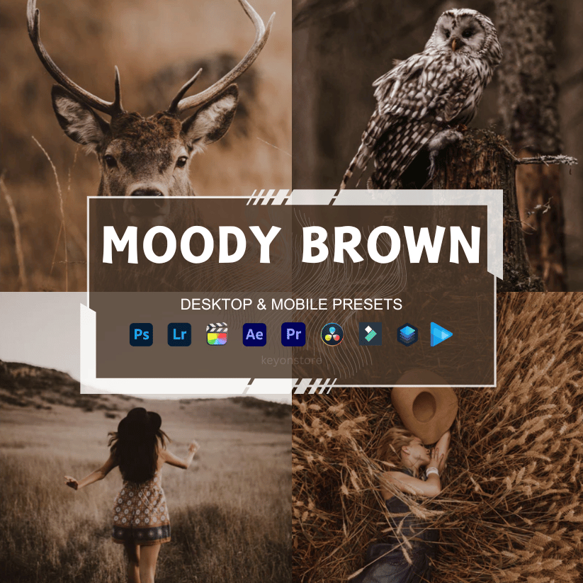 Preset Lightroom Premium - 5 Moody Brown + LUTs