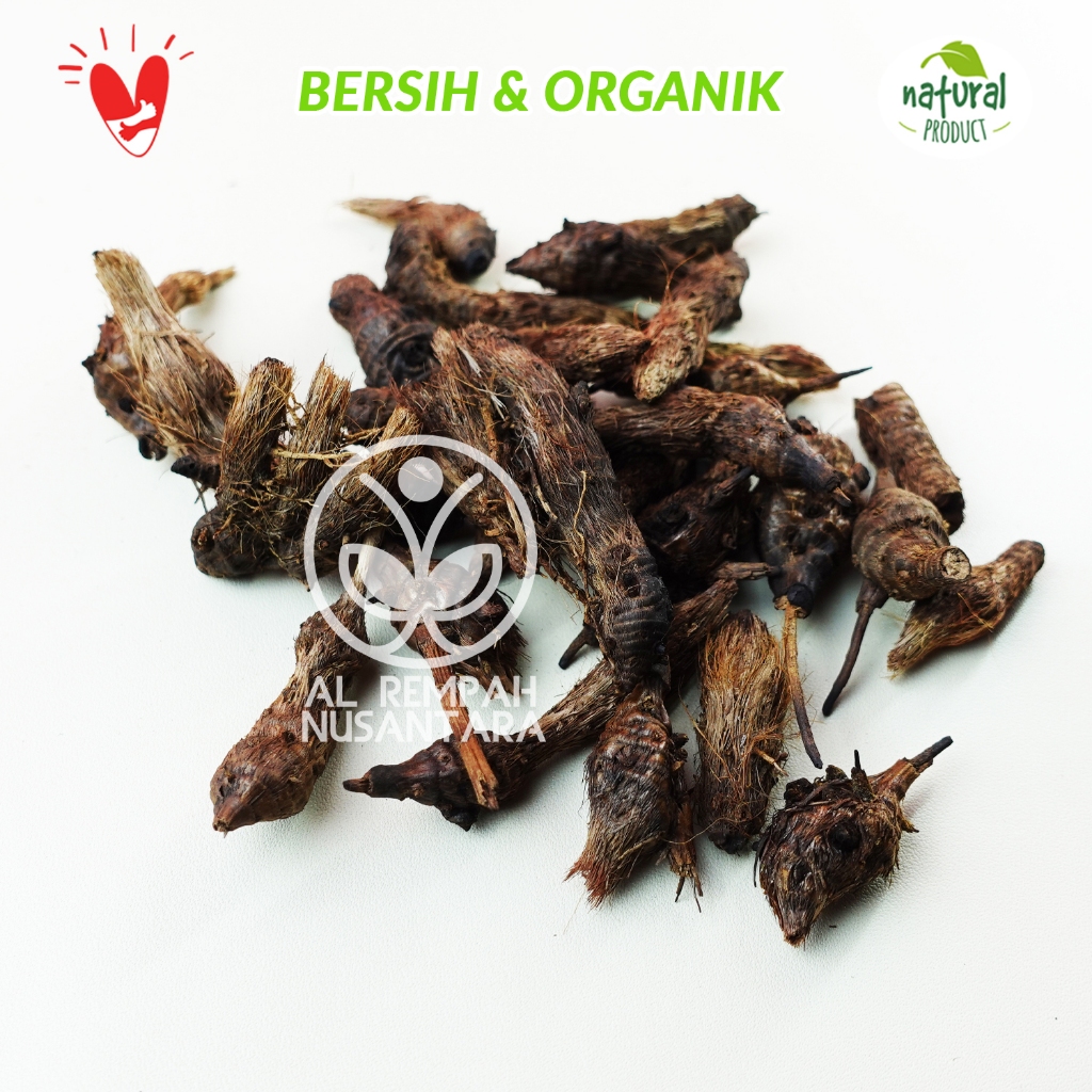 Umbi Suket Teki Kering 100gr Rumput Teki / Umbi Manggata Liar