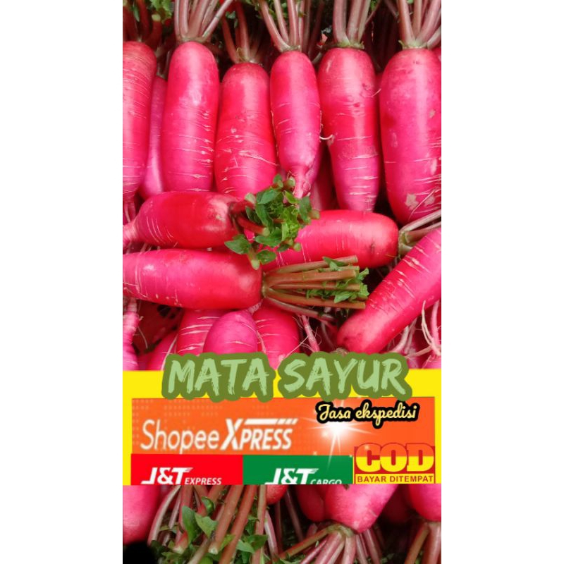 

lobak merah sayur kemasan 1kg