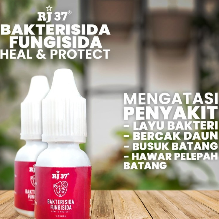 NEW Bakterisida & Fungisida Organik RJ 37