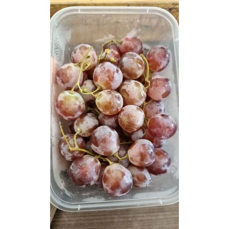 

Anggur redglobe pack