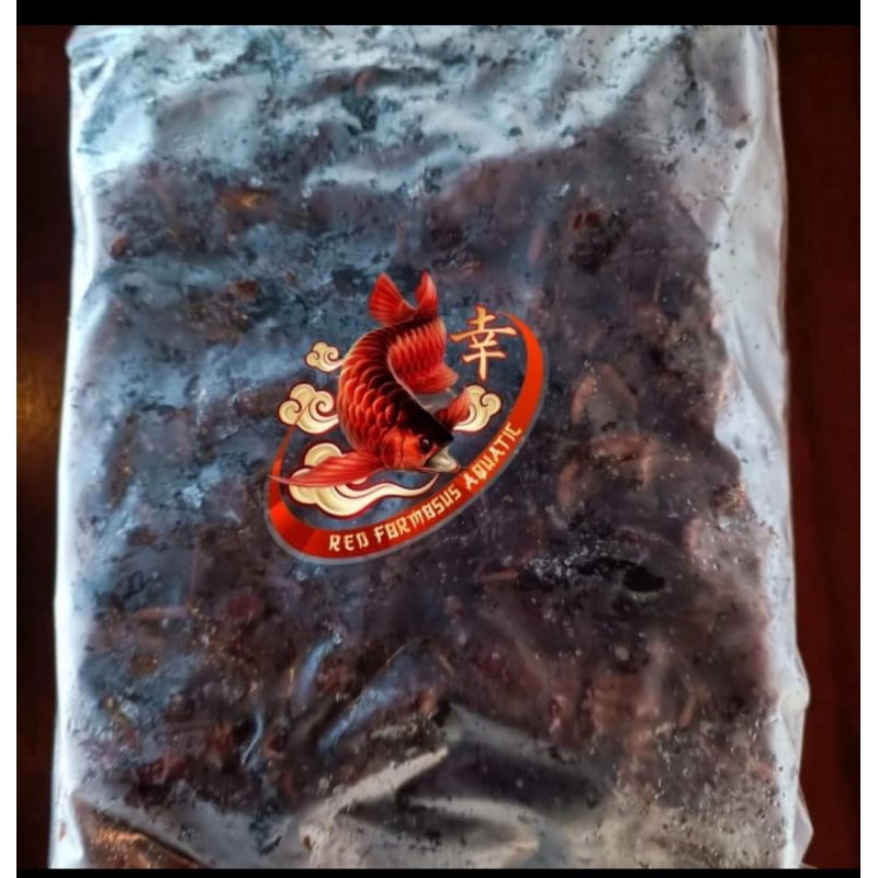 kecoa beku - pakan ikan - 250 gram