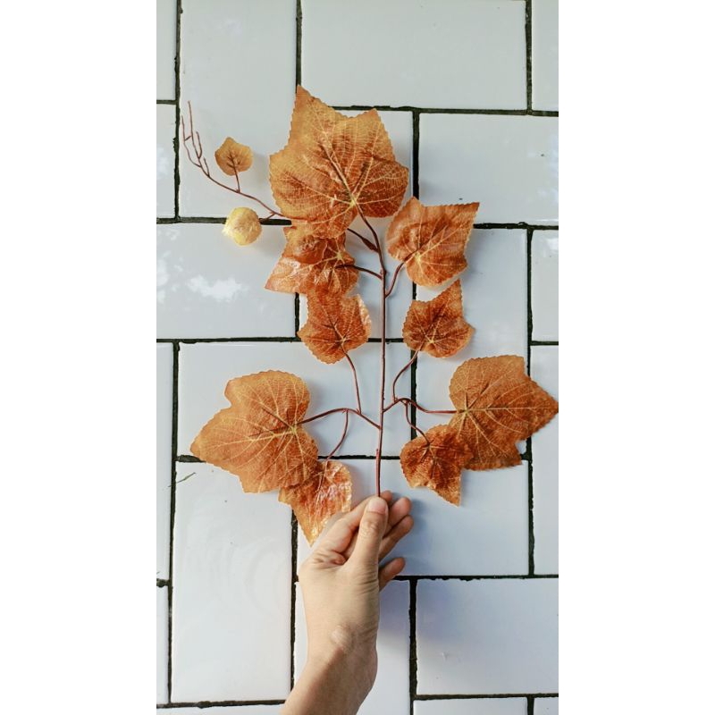 Daun Anggur Plastik