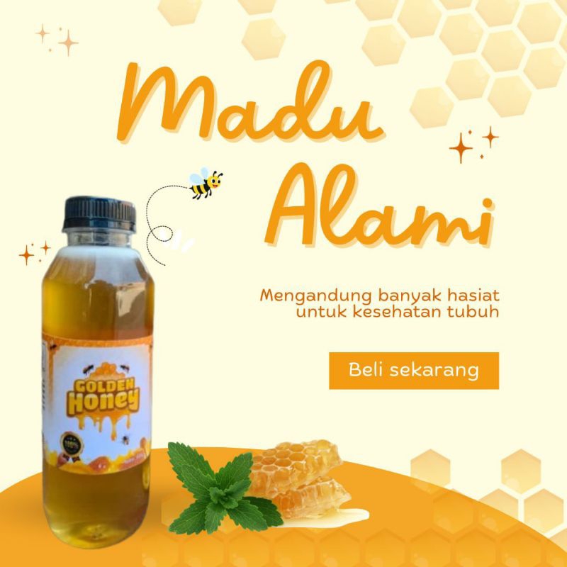 

Madu asli 100% Tanpa Campuran-Madu Murni Golden Honey Nektar MULTIFLORA Pure Natural Raw Honey