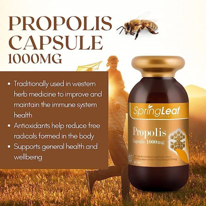 Spring leaf/springleaf Propolis premium 1000mg isi 400 Kapsul Softgel - Halal