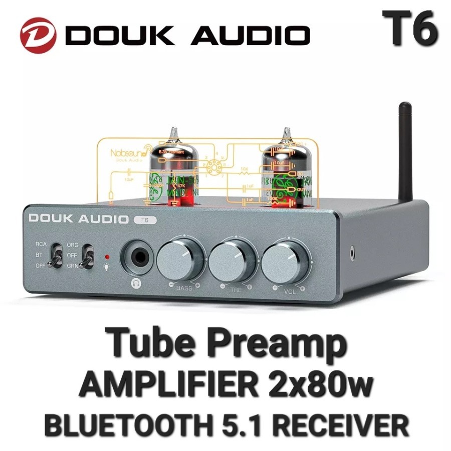 DOUK AUDIO T6 Tube Preamp with Amplifier 2x80w BT5.1 Audio-Out
